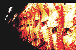 meat.gif (33987 bytes)